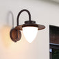 Contemporary Retro Peach Glass Iron Outdoor Waterproof 1-Light Wall Sconce Lamp For Garden