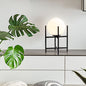 Nordic Minimalist Glass Round Ball Iron Shelf Base 1-Light Table Lamp