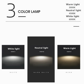 European Minimalist Fabric Curve Base 1-Light Table Lamp