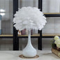 Modern Feather 1-Light Globe Teardrop Base Table Lamp