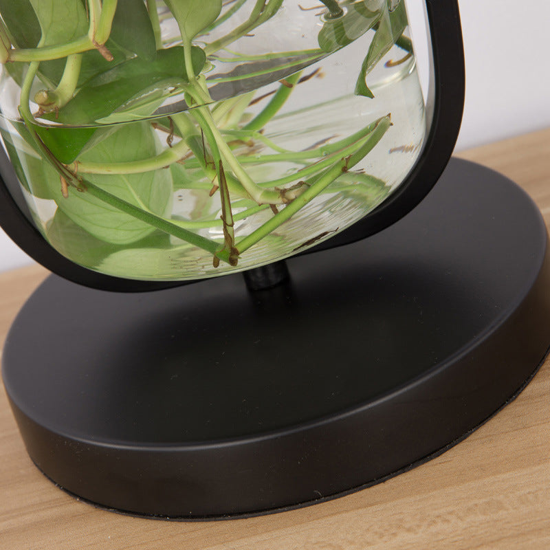 Modern Art Deco Glass Creative Plant Hydroponic 1-Light Table Lamp