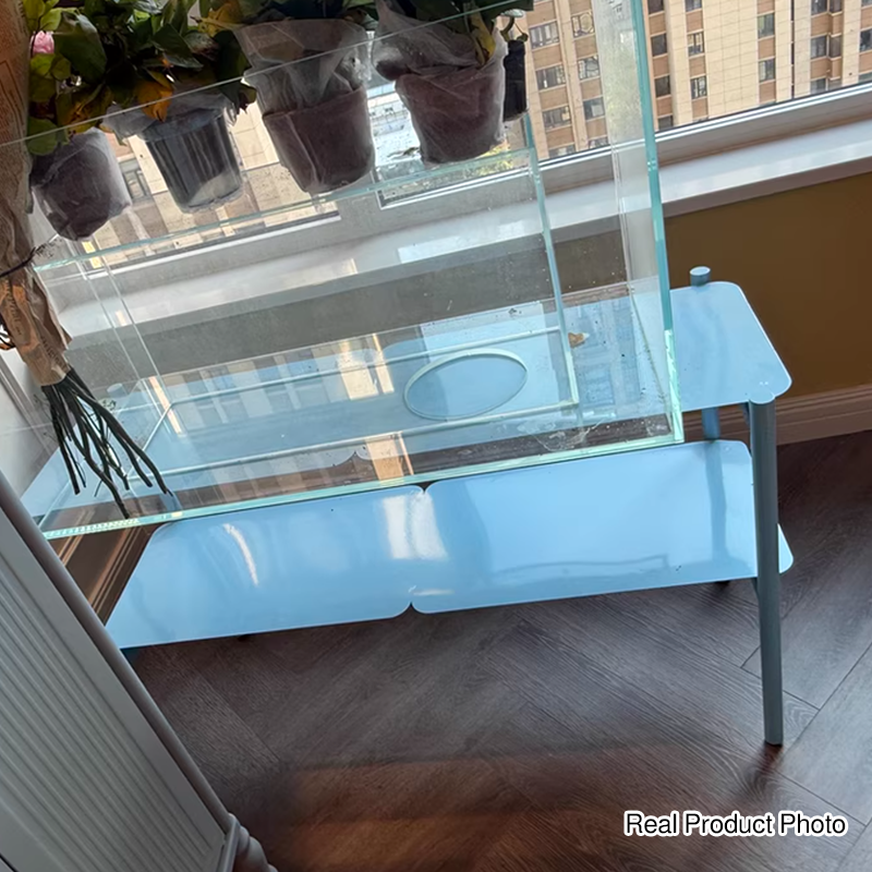 Iron 2-Tier Blue Storage Shelf