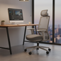 Ergonomic 4D Headrest Mesh Office Chair