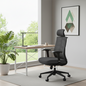 High-Back Mesh Ergonomic Office Chair