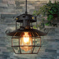 Industrial Iron Cage Pendant Light