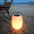 Contemporary Creative PE Acrylic Portable Barrel-Shaped Solar LED Outdoor Light For Garden & Camping