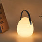 Contemporary Creative PE ABS Portable Round LED Outdoor Light With Handle For Outdoor Patio