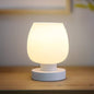 Modern Minimalist Round Glass Shade Iron Base 1-Light Table Lamp For Bedroom