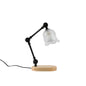 Traditional Rustic Adjustable Iron Lamp Arm Flower Glass Shade 1-Light Melting Wax Table Lamp For Bedroom