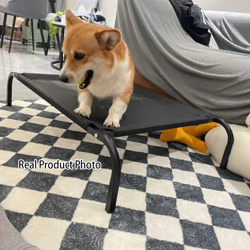 Elevated Nylon Iron Dog Bed