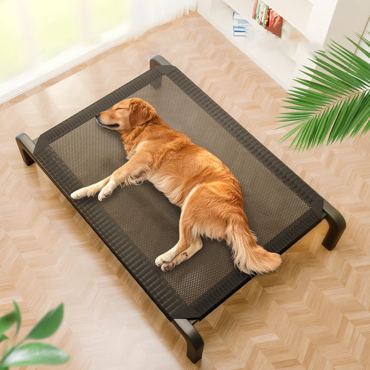 Elevated Nylon Iron Dog Bed