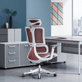 Ergonomic Mesh Office Chair, Adjustable Headrest