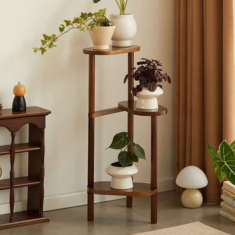 Japanese Beech Wood Flower Display Rack