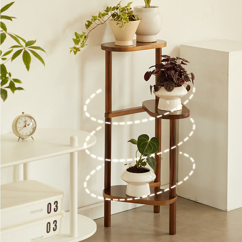Japanese Beech Wood Flower Display Rack