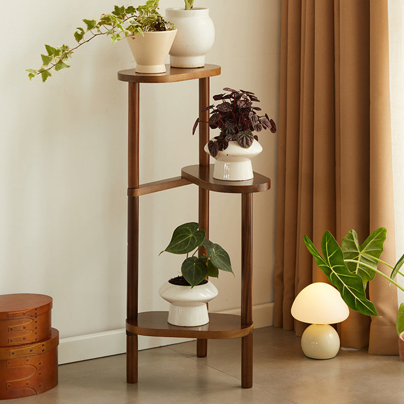 Japanese Beech Wood Flower Display Rack