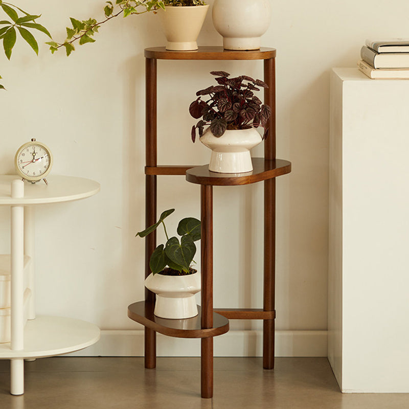 Japanese Beech Wood Flower Display Rack