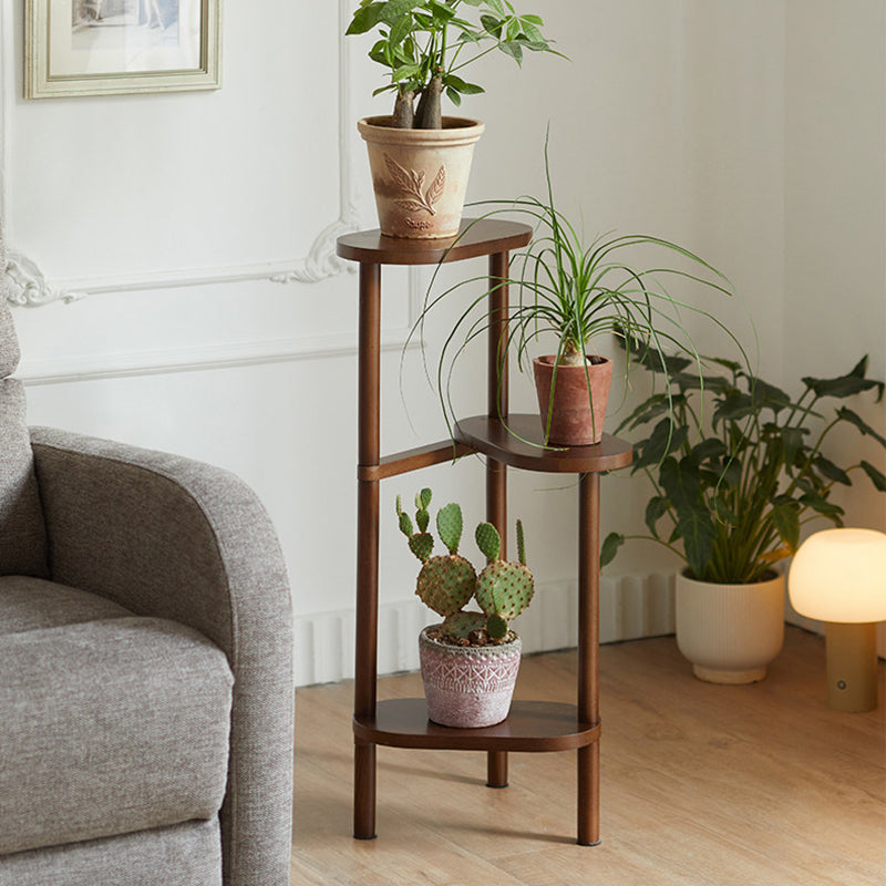 Japanese Beech Wood Flower Display Rack