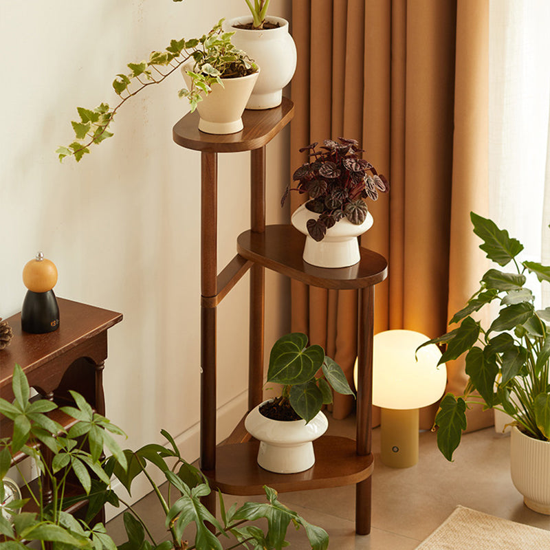 Japanese Beech Wood Flower Display Rack
