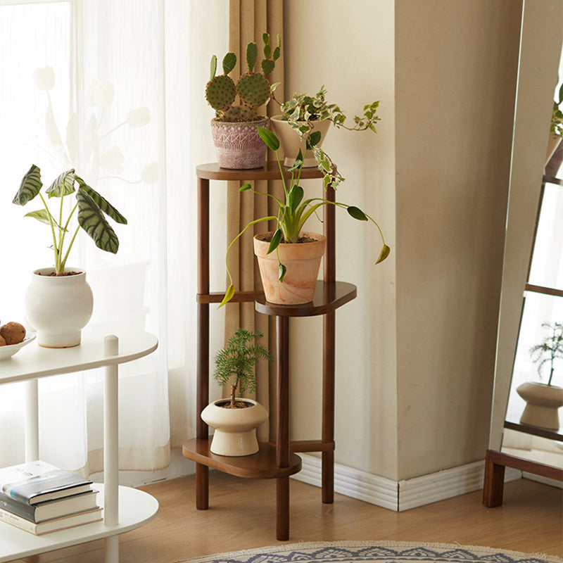 Japanese Beech Wood Flower Display Rack