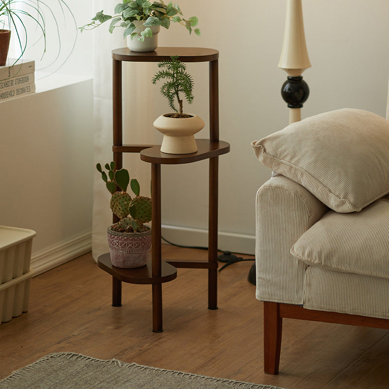 Japanese Beech Wood Flower Display Rack