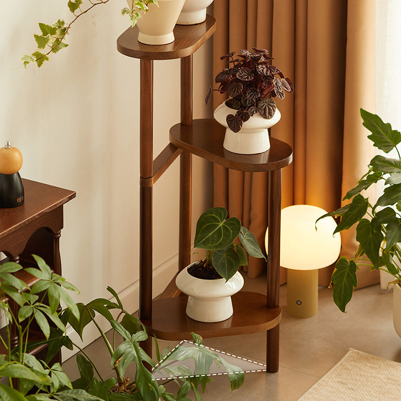 Japanese Beech Wood Flower Display Rack