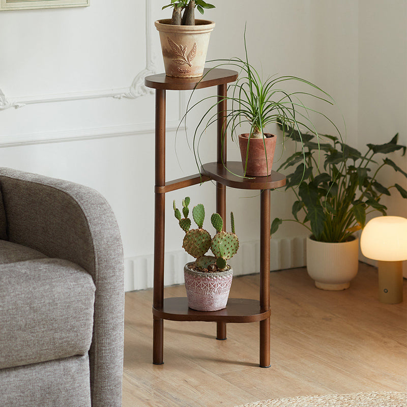 Japanese Beech Wood Flower Display Rack