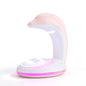 Creative Dolphin Projection Rainbow LED USB Night Light Table Lamp