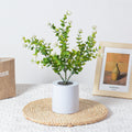 Modern Minimalist Plastic Flower Lotus LED Table Lamp For Living Room